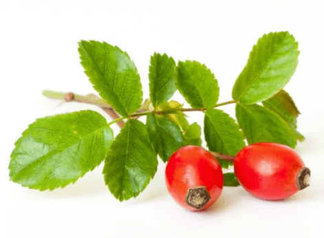 Rosehip in Gluconol